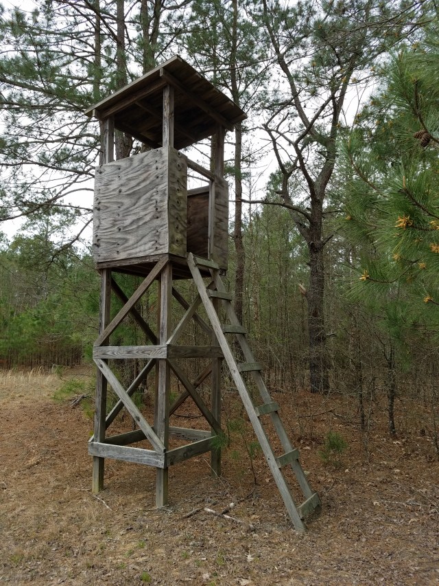 tree stand