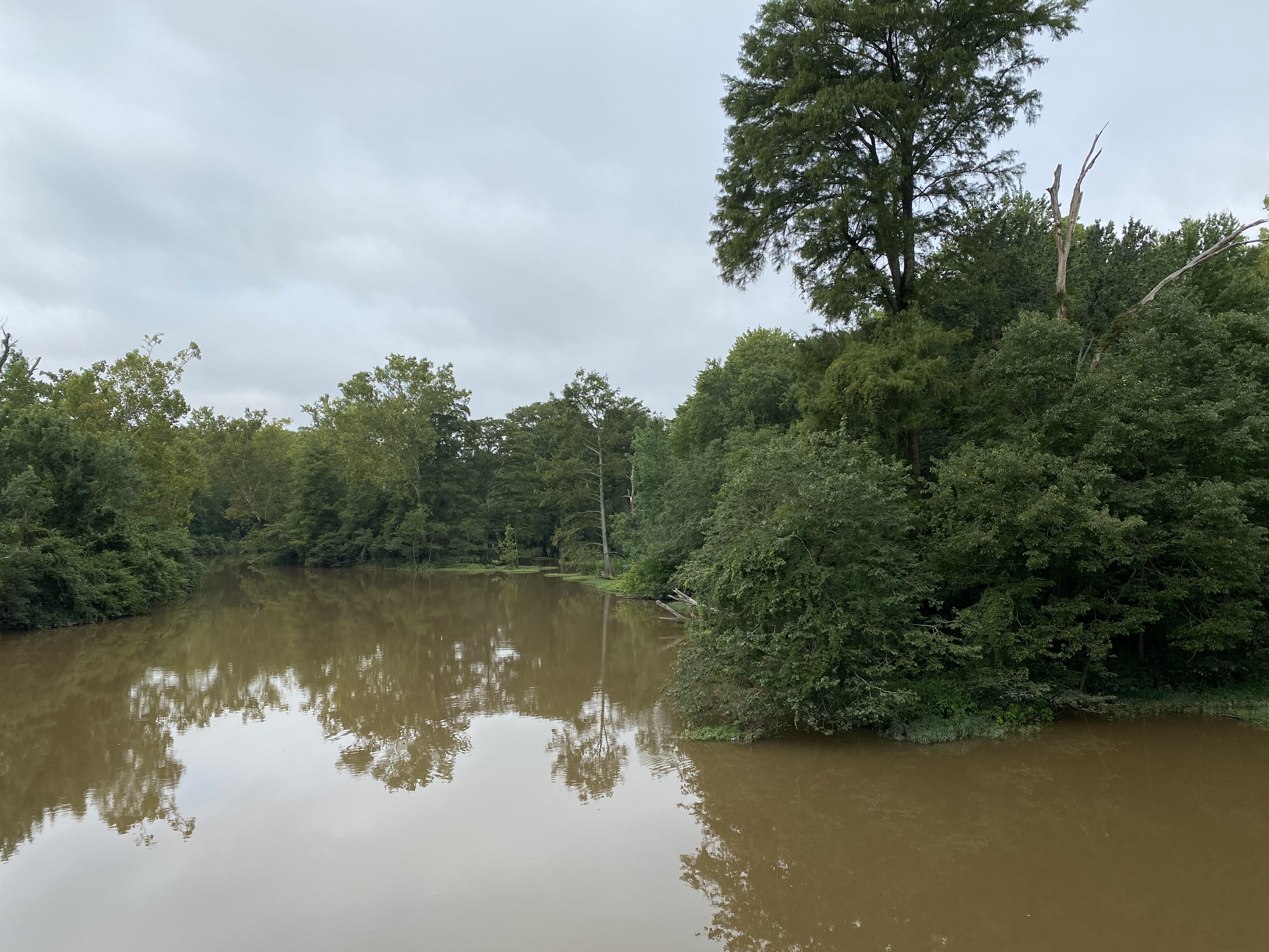 tar river